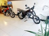 Senaro GN 125 _ BrandNew 2026