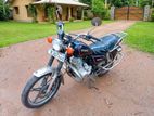 Senaro GN 125 Standard 2023
