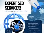 SEO Services Google