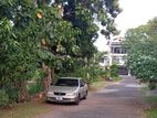 Separate Entrance 1st floor Upstair House for Rent in Ananda Malika Rd,