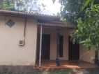 Separate House For Rent In Wijerama