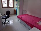 Separate Single Story Fully Tiled Furnished House For Rent