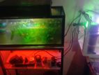 Fish Tank