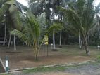 "Serenity" Land for Sale in Horana