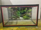 Fish Tank Set Up