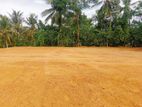 Several commercial and residential plots for sale facing Horahena Road
