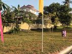 Several Valuable Plots of Land for Sale in Mirissa