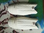 SG Cricket Pad