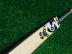 SG English Willow Senior Bat