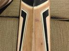 SG Kashmir Willow Bat