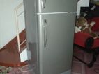 Sgl 2 Door Fridge