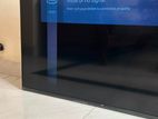 SGL 43" TV