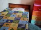 Sharing Room for Rent (Girl) Mattegoda