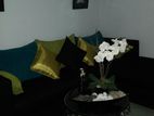 Sharing Room for Rent Ladies Colombo 5