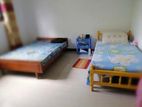Sharing Rooms for Working Girls Rent Battaramulla