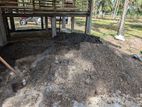Dry Sheep Fertilizer