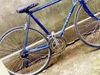 Shimano Bicycle