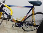 Shimsno Racing Bike