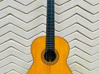 Shinano Japan Classical Guitar