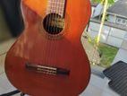 Shinano No 55 Classical Guitar