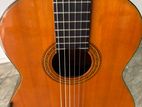 Shinano SC-20 Classical Guitar