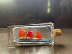 Ship in a Bottle