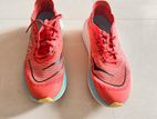 HOKA Shoe