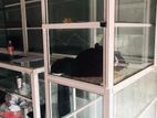 Shop for Rent in Kottahena
