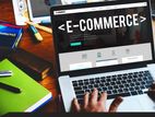 Shopify Wordpress Ecommerce Website Development