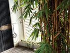 SHORT TERM HOUSE RENT IN DEHIWALA