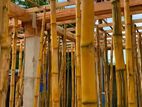 Shuttering
