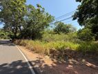 Sigiriya Land For Sale 1 Acres