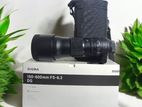 Sigma 150-600mm Nikon Lens