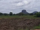 සීගිරිය පර්වතය පෙනෙන මානයේ ඉඩමක් විකිණීමට