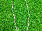 Silver Chain