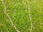 Silver Chain