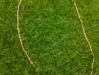 Silver Chain