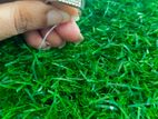 Silver Ring 5G