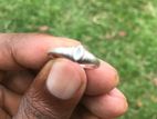 Silver ring