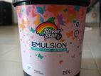 Silver Star Paint 20 Litre Brilliant White
