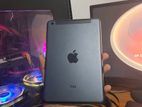 Apple iPad Mini