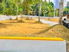 සිමිත බිම් කොටස් කිහිපයේ හොඳම ඉඩමක් Panadoda