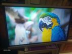 Singer 55" Smart Board