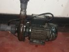 Singer Centrifugal Water Pump - 0.75 HP Single Phase