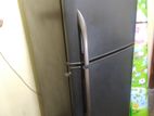 Singer Double Door Fridge 231L