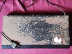 Singer DVD player