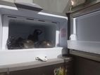 Singer Fridge
