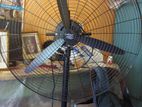 Singer Pedestal Fan