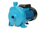 Singer Regnis Domestic Water Pump (WP-REG-100-S)