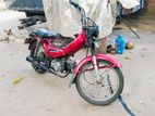 Singer Safari 48cc 2015